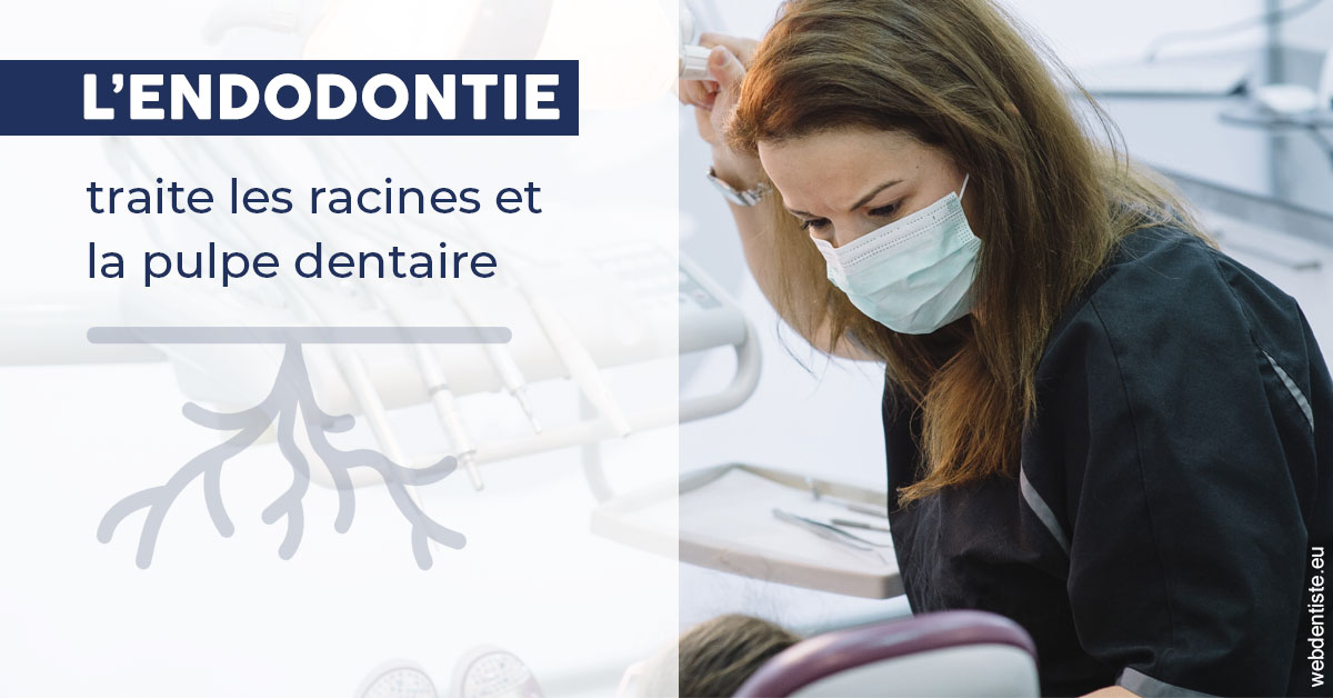 https://dr-remy-ouazana.chirurgiens-dentistes.fr/L'endodontie 1
