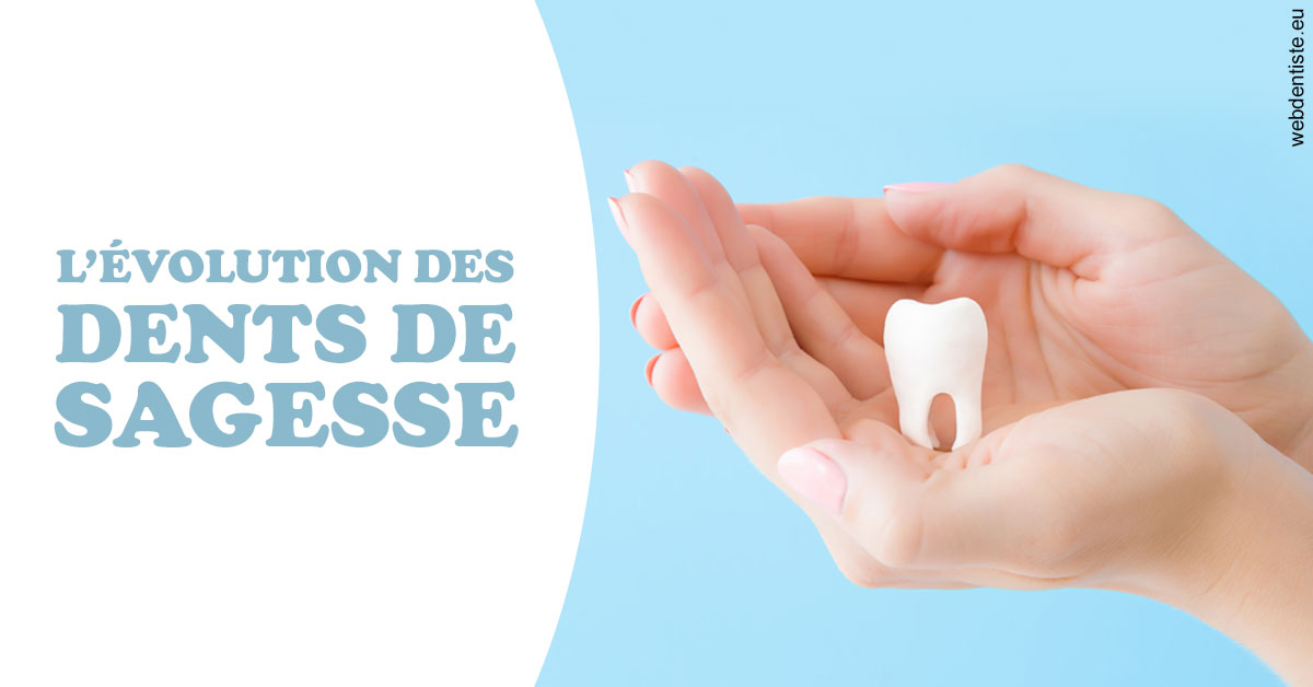 https://dr-remy-ouazana.chirurgiens-dentistes.fr/Evolution dents de sagesse 1