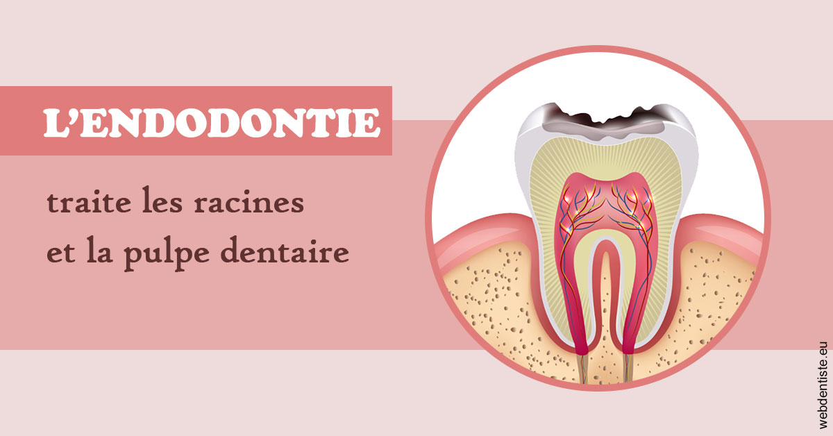 https://dr-remy-ouazana.chirurgiens-dentistes.fr/L'endodontie 2