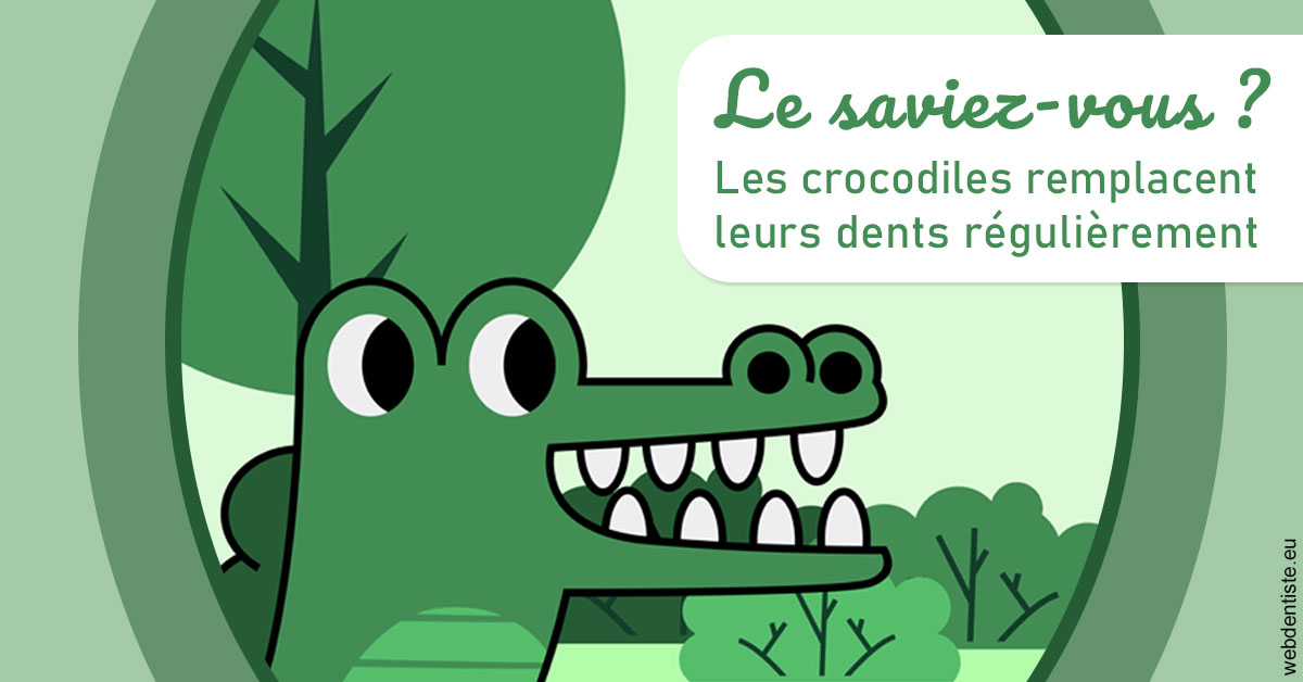 https://dr-remy-ouazana.chirurgiens-dentistes.fr/Crocodiles 2